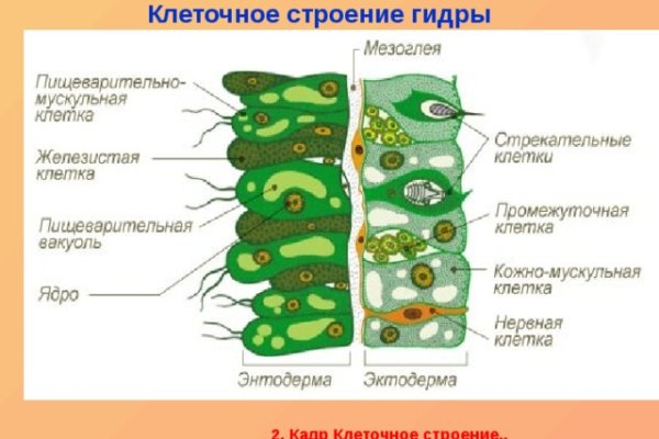 Кракен ссылка bazaonion com
