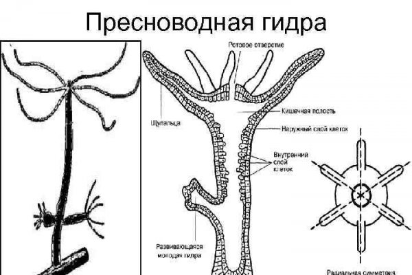 Маркет плейс кракен маркетплейс