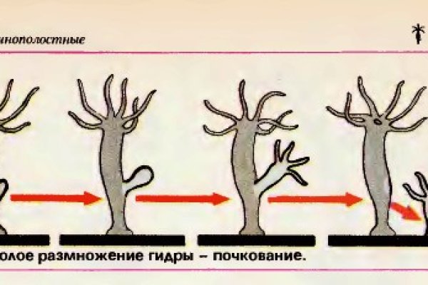 Кракен что можно купить