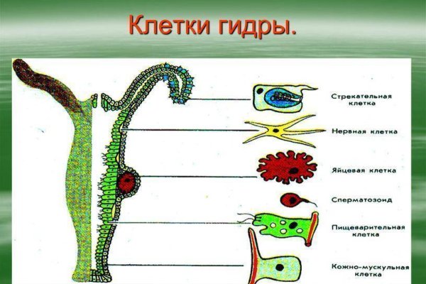 Кракен не работает