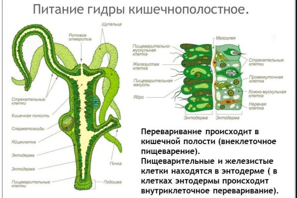 Сайт kraken зеркала