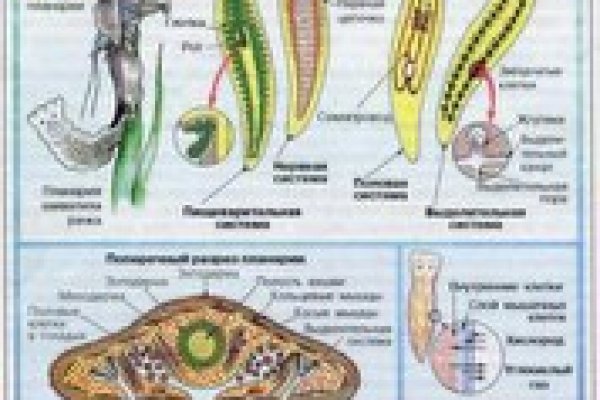 Как восстановить страницу на кракене